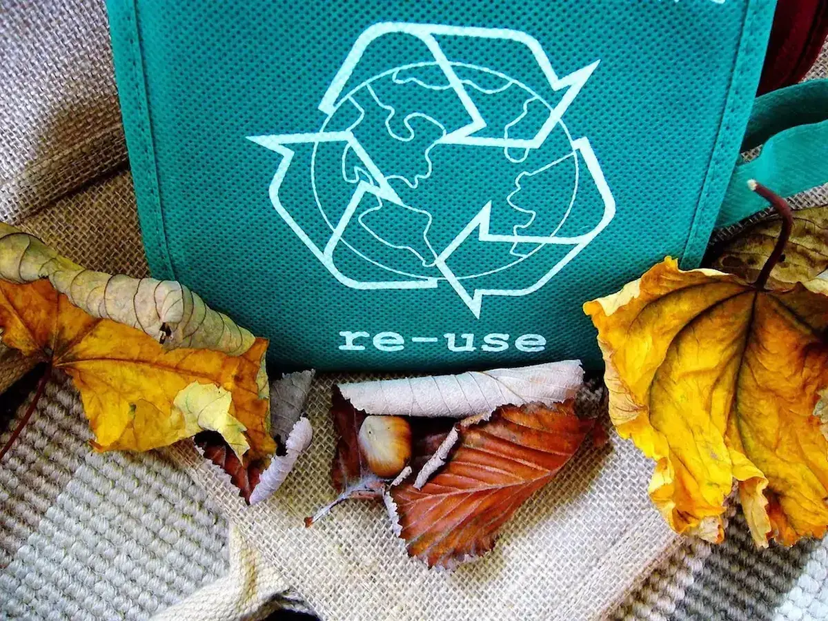 Czym jest recykling? Wyjaśniamy tę ważną praktykę ochrony środowiska